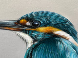 Scoping The Surroundings (Kingfisher) ORIGINAL by Alex McGarry